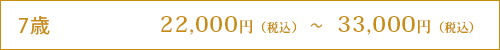 7歳　22,000円（税込）～33,000円（税込）